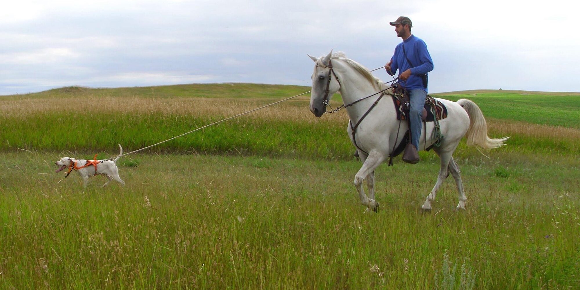 A handler on a white horse working a pointing dog across open grass under a wide sky.